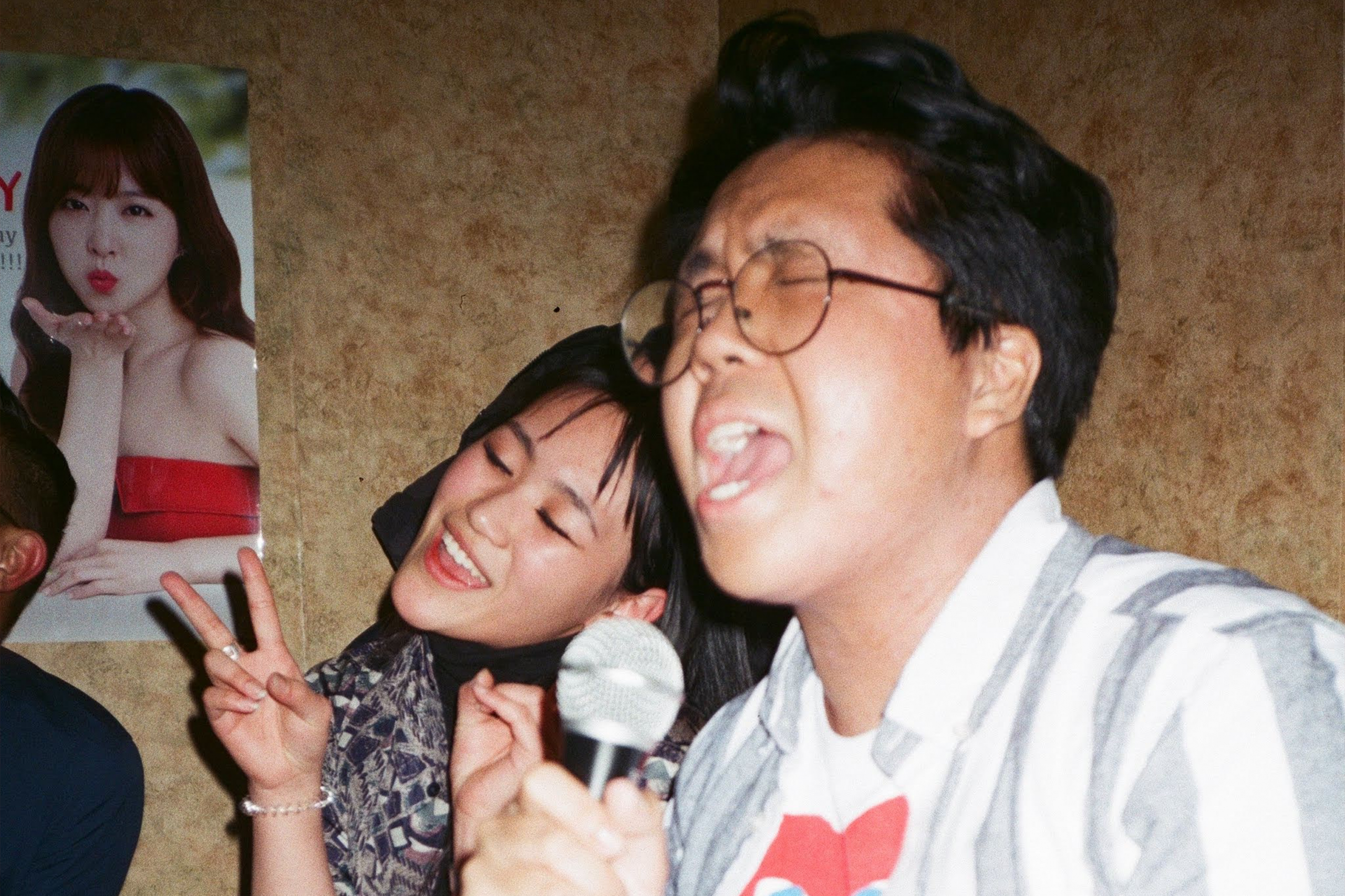cant_sing